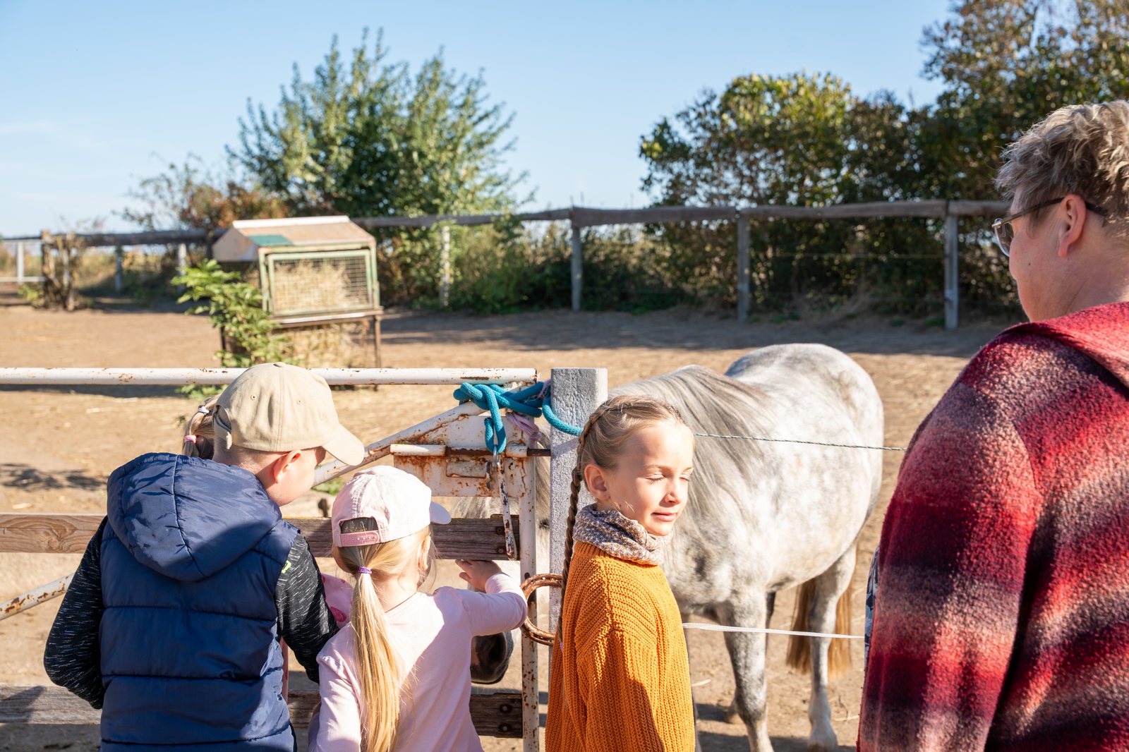Kinder stehen am Zaun und streicheln ein Pony.