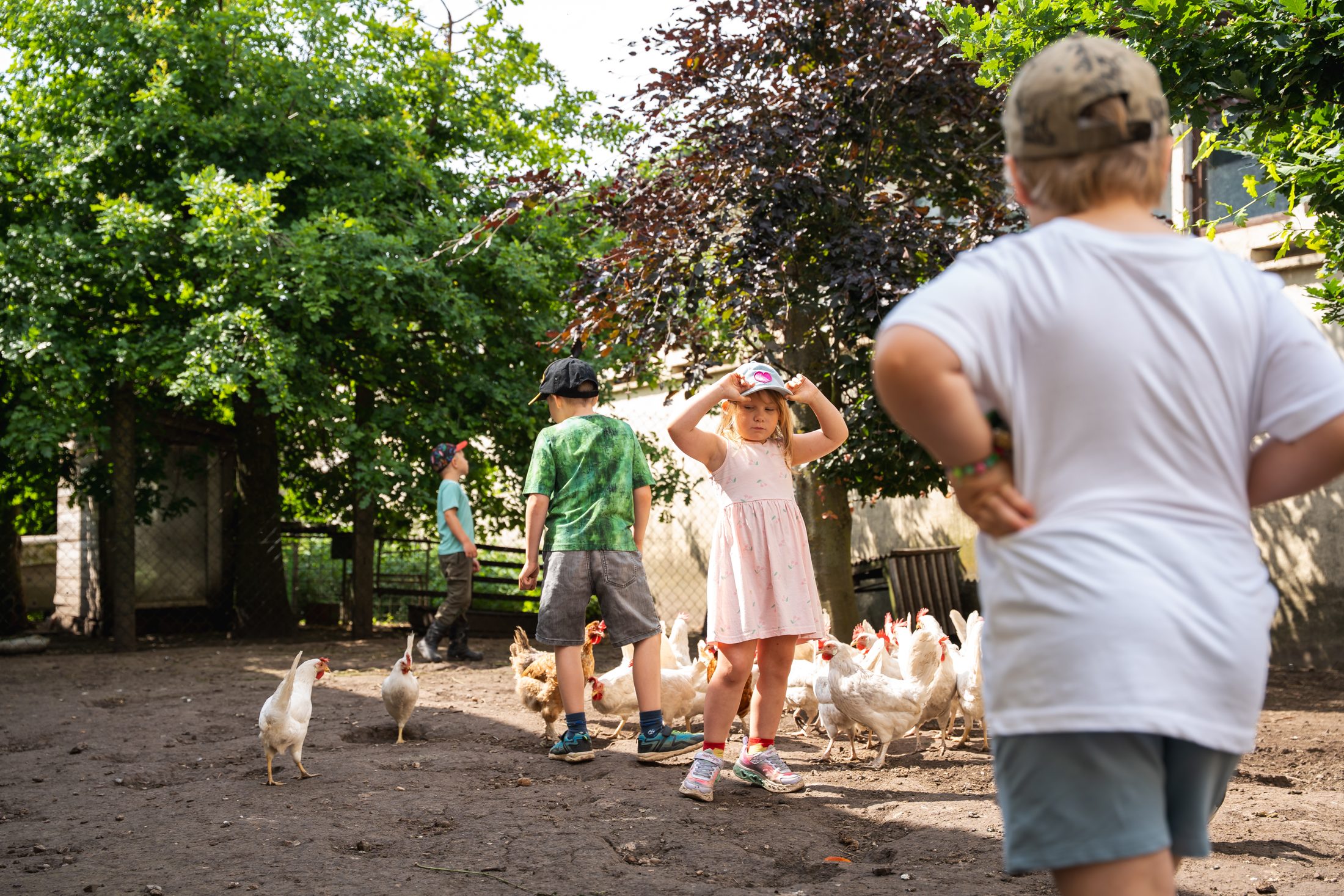 Kinder beobachten Hühner im Schatten der Hofbäume