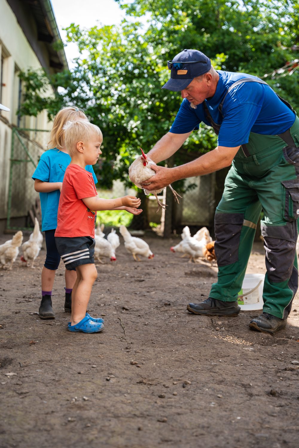 Ein Landwirt hält ein Huhn, ein Kind streckt ihm vorsichtig Körner in der Hand entgegen