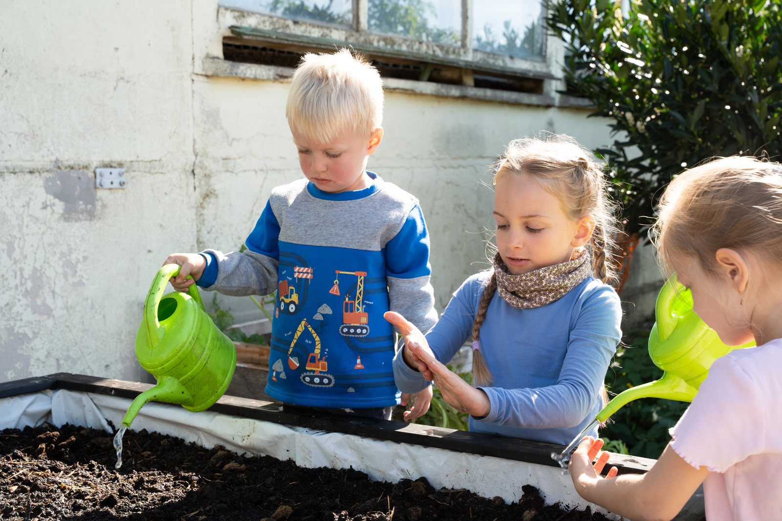 Drei Kinder gießen gemeinsam ein frisch bepflanztes Hochbeet.